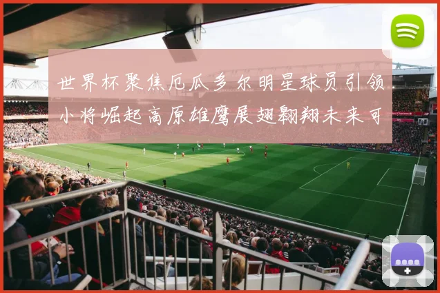世界杯聚焦厄瓜多尔明星球员引领小将崛起高原雄鹰展翅翱翔未来可期