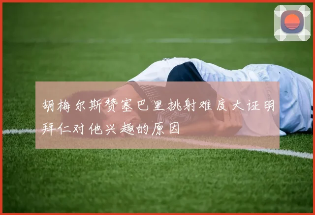 胡梅尔斯赞塞巴里挑射难度大证明拜仁对他兴趣的原因
